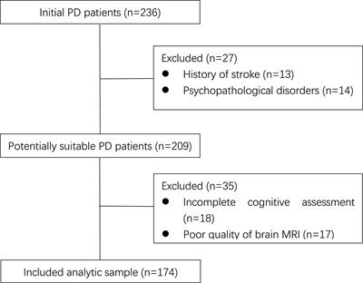 Characteristics of Cognitive Impairment and Their Relationship With Total Cerebral Small Vascular Disease Score in Parkinson’s Disease